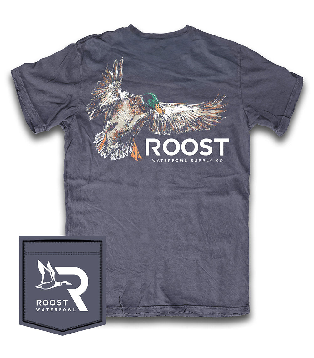 Roost painted mallard youth