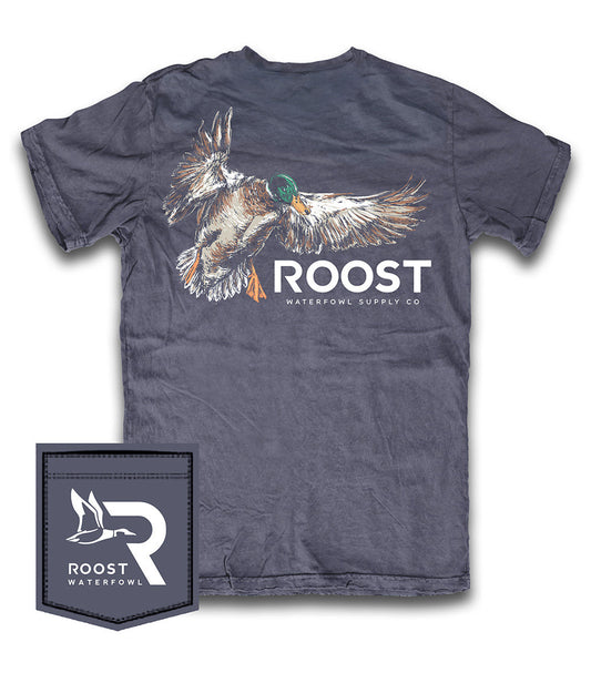 Roost painted mallard youth